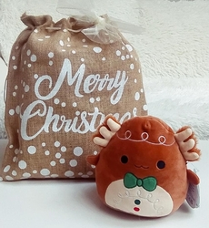VÁNOČNÍ SQUISHMALLOWS AXOLOTL DEN V DÁRKOVÉM PYTLU