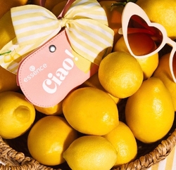 ESSENCE Ciao! pouzdro na brýle 01 La Sunny Vita