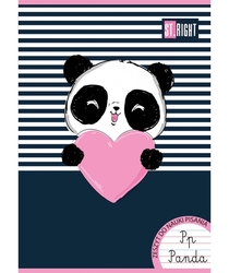 PANDA SEŠIT A4 NA VÝUKU PSANÍ...
