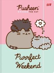 PUSHEEN PAPÍROVÁ SLOŽKA A4 - PINK