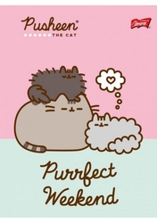 PUSHEEN SEŠIT / ZÁPISNÍK  A5 - LINKA