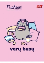 PUSHEEN SEŠIT / ZÁPISNÍK  A5 - ČTVEREČEK