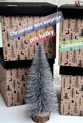 CHRISTMAS MYSTERY SURPRISE BOX - LOL SURPRISE