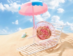 ESSENCE ALOHA, BABES!