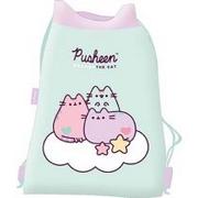 PUSHEEN PYTLÍK / VAK